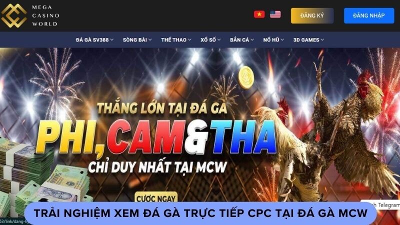 Trải nghiệm xem đá gà trực tiếp CPC tại đá gà MCW