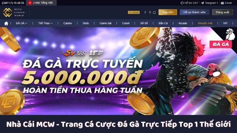 Lý do thuyết phục người chơi lựa chọn nhà cái MCW để trải nghiệm cá cược đá gà