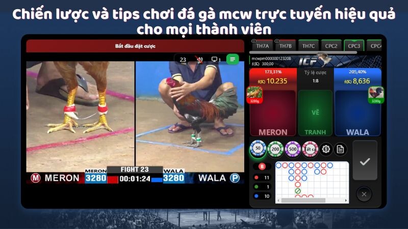 Chiến lược và tips chơi đá gà mcw trực tuyến hiệu quả cho mọi thành viên