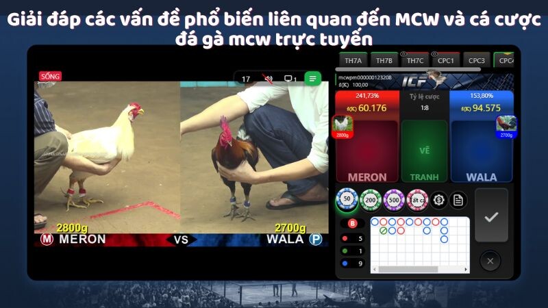 Giải đáp các vấn đề phổ biến liên quan đến MCW và cá cược đá gà mcw trực tuyến